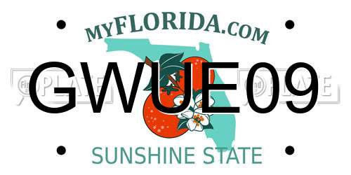 GWUE09 Florida License Plate