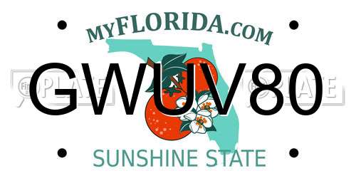GWUV80 Florida License Plate