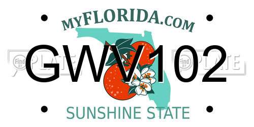 GWV102 Florida License Plate