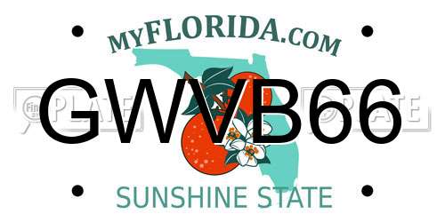 GWVB66 Florida License Plate