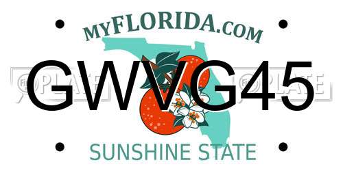 GWVG45 Florida License Plate