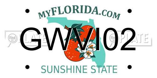 GWVI02 Florida License Plate
