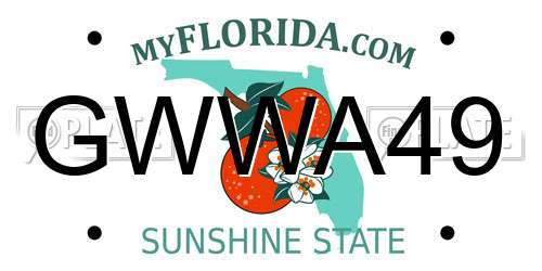GWWA49 Florida License Plate