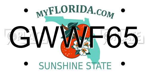GWWF65 Florida License Plate