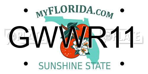 GWWR11 Florida License Plate