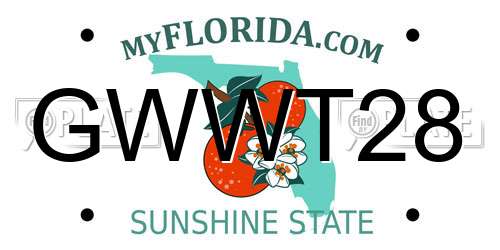 GWWT28 Florida License Plate