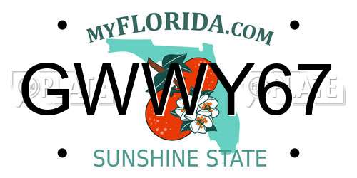 GWWY67 Florida License Plate