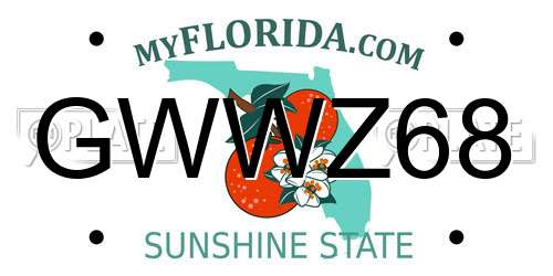 GWWZ68 Florida License Plate
