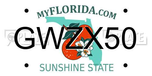 GWZX50 Florida License Plate
