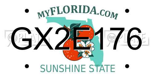 GX2E176 Florida License Plate