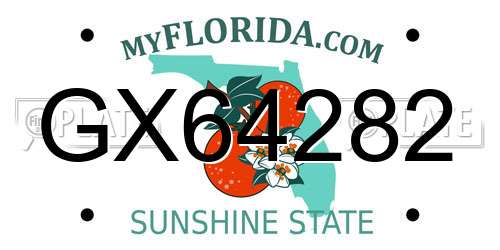 GX64282 Florida License Plate