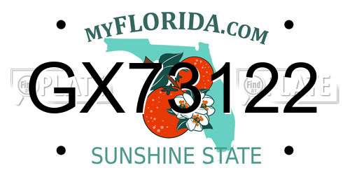 GX73122 Florida License Plate