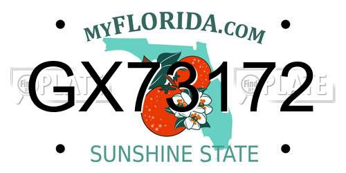 GX73172 Florida License Plate