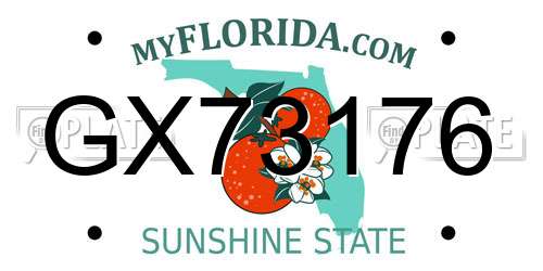 GX73176 Florida License Plate