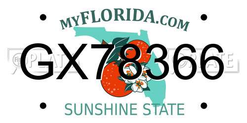 GX78366 Florida License Plate