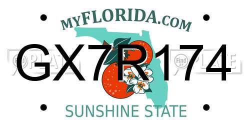 GX7R174 Florida License Plate