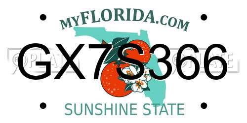 GX7S366 Florida License Plate