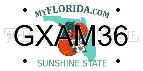 GXAM36 Florida License Plate