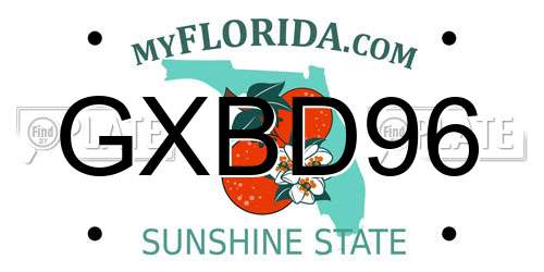 GXBD96 Florida License Plate