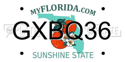 GXBQ36 Florida License Plate