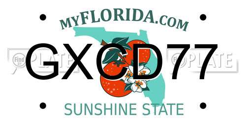 GXCD77 Florida License Plate