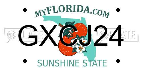 GXCJ24 Florida License Plate
