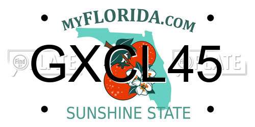 GXCL45 Florida License Plate