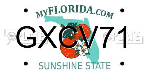 GXCV71 Florida License Plate
