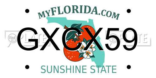 GXCX59 Florida License Plate