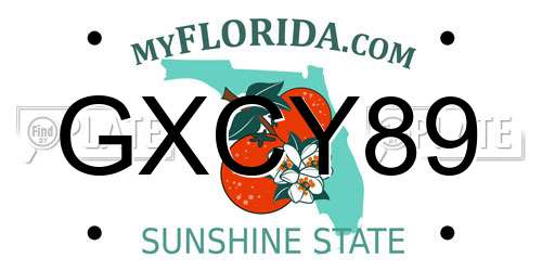 GXCY89 Florida License Plate