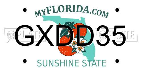 GXDD35 Florida License Plate