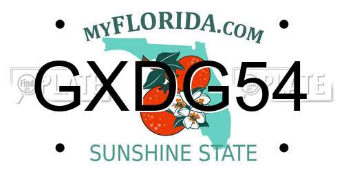 GXDG54 Florida License Plate