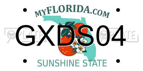 GXDS04 Florida License Plate