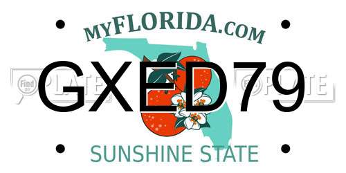 GXED79 Florida License Plate