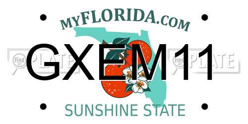 GXEM11 Florida License Plate