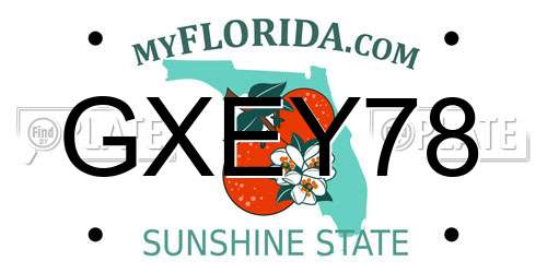 GXEY78 Florida License Plate