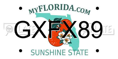 GXFX89 Florida License Plate