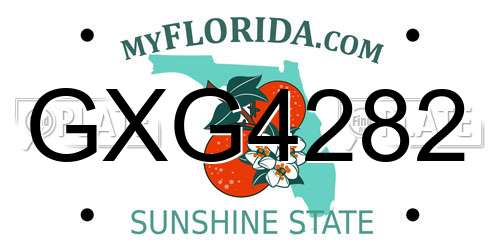 GXG4282 Florida License Plate