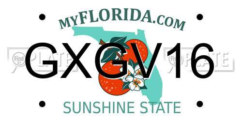 GXGV16 Florida License Plate