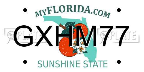 GXHM77 Florida License Plate
