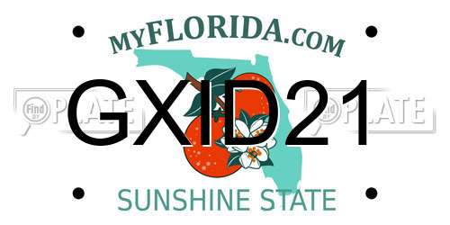 GXID21 Florida License Plate