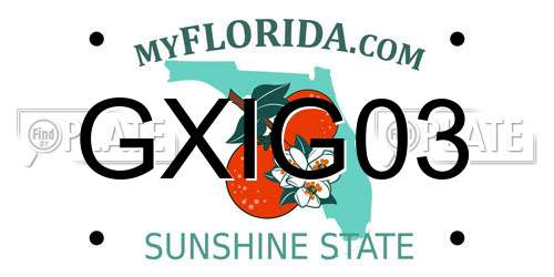 GXIG03 Florida License Plate