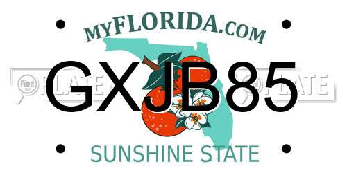 GXJB85 Florida License Plate
