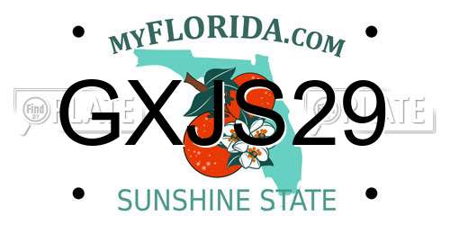 GXJS29 Florida License Plate