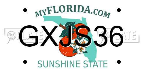 GXJS36 Florida License Plate