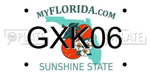 GXK06 Florida License Plate