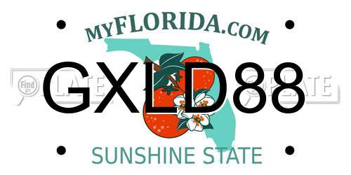 GXLD88 Florida License Plate