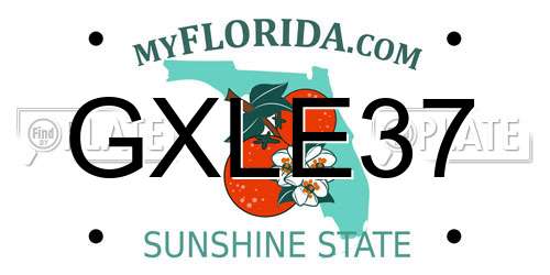 GXLE37 Florida License Plate