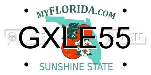 GXLE55 Florida License Plate