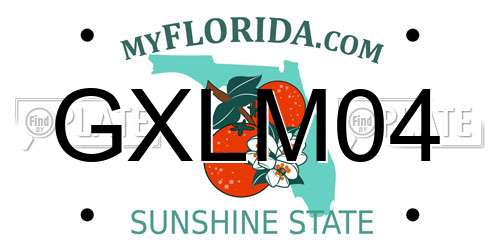 GXLM04 Florida License Plate